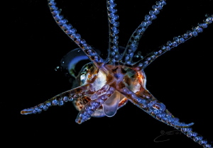 ~ Reach Out Touch Me ~ by Geo Cloete 